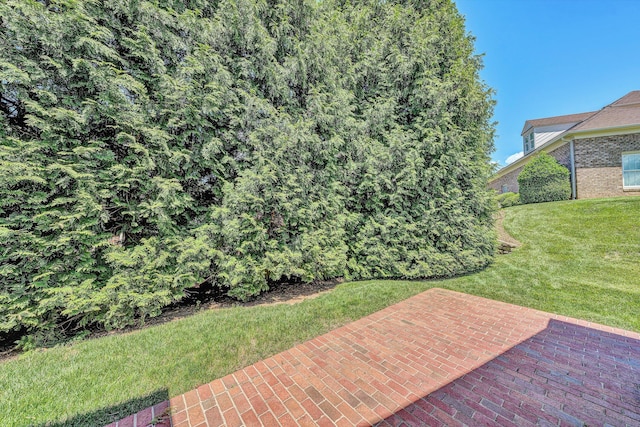 3303 Belshire Ct SW, Roanoke, VA 24014 - view of grassy yard with a patio