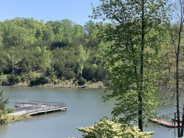 1175 Mariners Way Unit 58, Huddleston, VA 24104 - dock area with a water view and a forest view