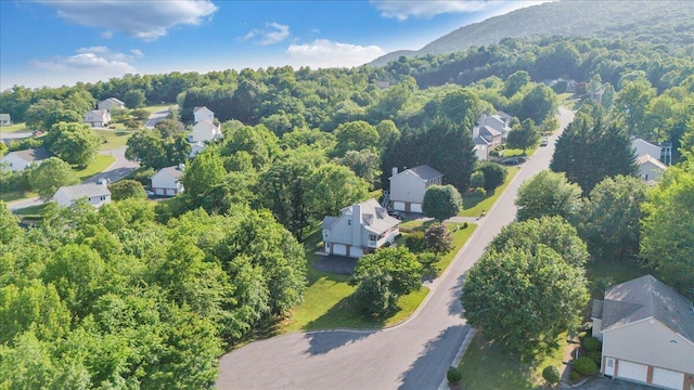 828 Ray St, Roanoke, VA 24019 - aerial view of property's location featuring nearby suburban area and a forest
