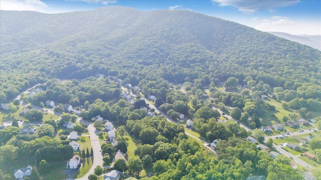 828 Ray St, Roanoke, VA 24019 - bird's eye view of a mountain backdrop
