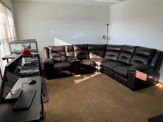 570 Scuffling Hill Rd, Rocky Mount, VA 24151 - view of carpeted living area