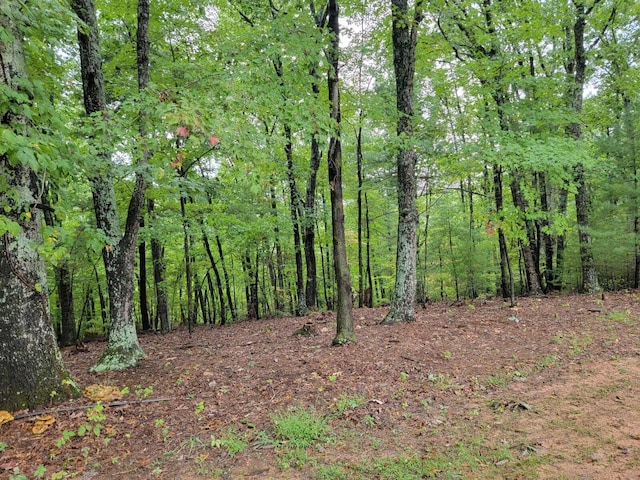 640 Cooks Knob Rd, Ferrum, VA 24088 - view of wooded area