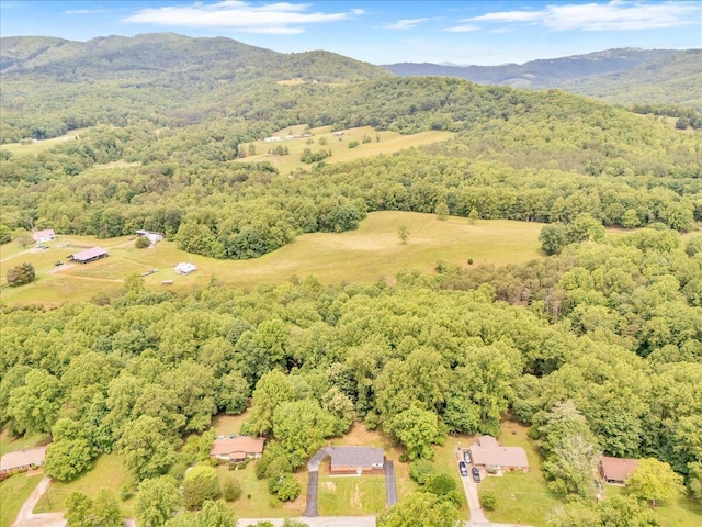 201 Forest Ridge Dr, Vinton, VA 24179 - aerial view of property's location featuring a heavily wooded area and a mountain backdrop