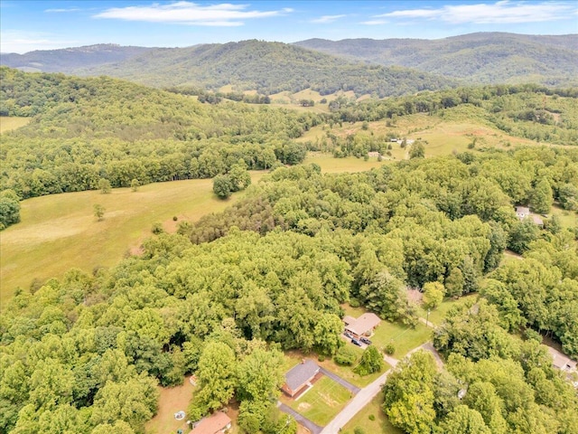 201 Forest Ridge Dr, Vinton, VA 24179 - aerial view of property's location with a forest and a mountain backdrop