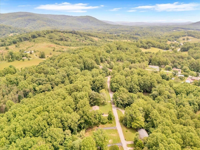 201 Forest Ridge Dr, Vinton, VA 24179 - aerial view of a forest and a mountain backdrop
