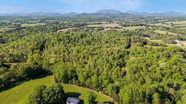 1132 Bancroft Ln, Goode, VA 24556 - aerial overview of property's location with a forest and a mountain backdrop