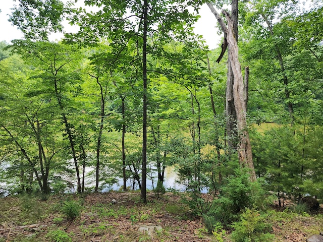 508 Hemlock Shores Dr, Goodview, VA 24095 - water view featuring a heavily wooded area