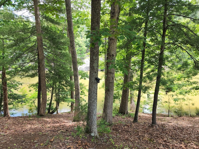508 Hemlock Shores Dr, Goodview, VA 24095 - view of nature