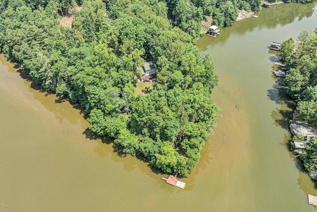 508 Hemlock Shores Dr, Goodview, VA 24095 - drone / aerial view of a large body of water