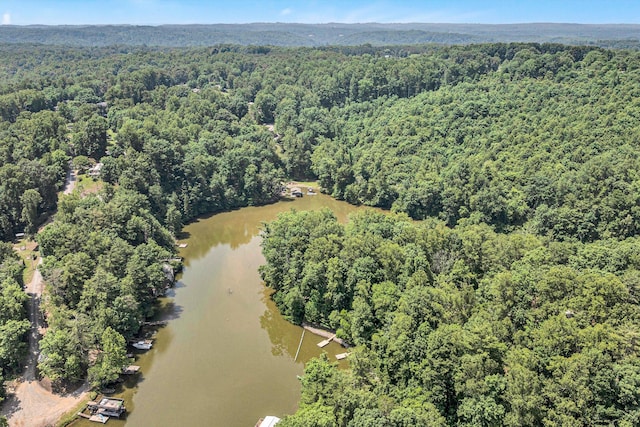508 Hemlock Shores Dr, Goodview, VA 24095 - aerial view of property's location with a forest