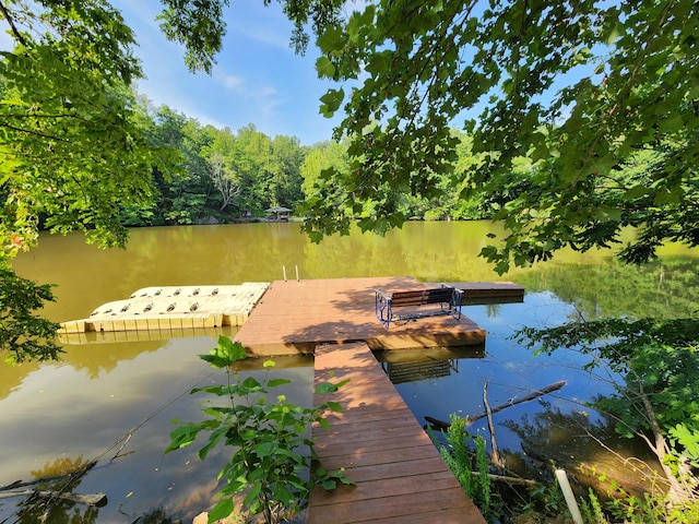 508 Hemlock Shores Dr, Goodview, VA 24095 - view of dock