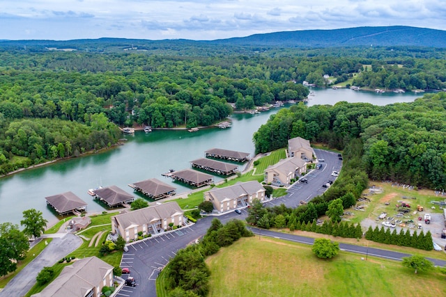 1103 Mariners Way Unit 5, Huddleston, VA 24104 - drone / aerial view of a forest and a water and mountain view