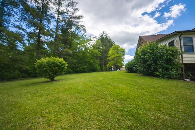 1978 Laurel Creek Rd NE, Pilot, VA 24138 - view of green lawn