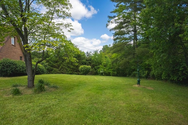 1978 Laurel Creek Rd NE, Pilot, VA 24138 - view of green lawn with a view of trees