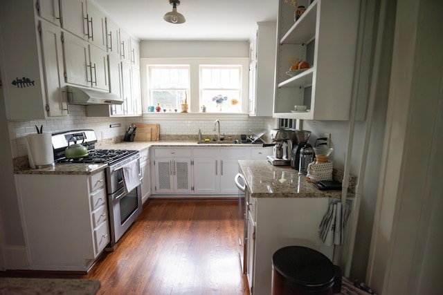 1810 Windsor Ave SW, Roanoke, VA 24015 - kitchen featuring double oven range, a sink, under cabinet range hood, open shelves, and dark wood-type flooring