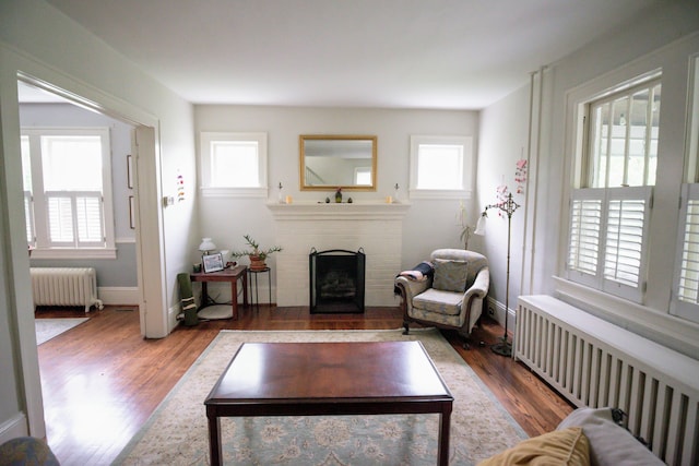 1810 Windsor Ave SW, Roanoke, VA 24015 - living room featuring radiator, radiator heating unit, healthy amount of natural light, and wood finished floors