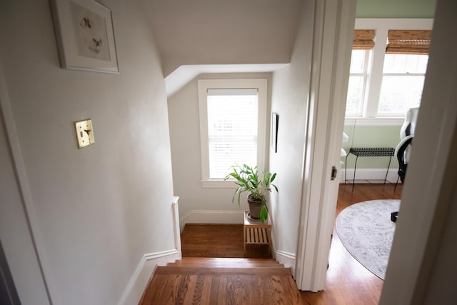 1810 Windsor Ave SW, Roanoke, VA 24015 - hallway featuring healthy amount of natural light, baseboards, and wood finished floors