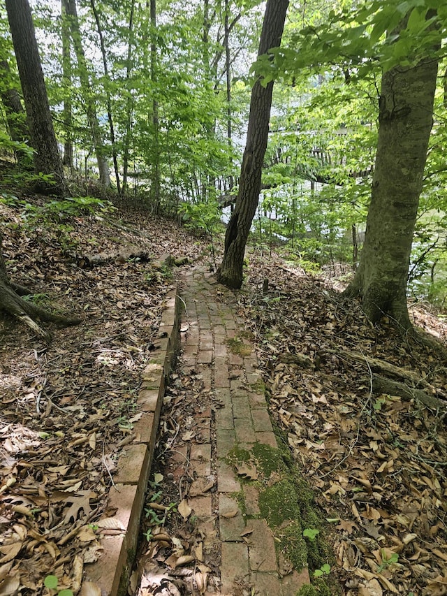 145 Carlos Rd, Union Hall, VA 24176 - view of undeveloped land