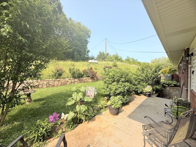 3135 Doe Run Rd, Rocky Mount, VA 24151 - view of patio / terrace