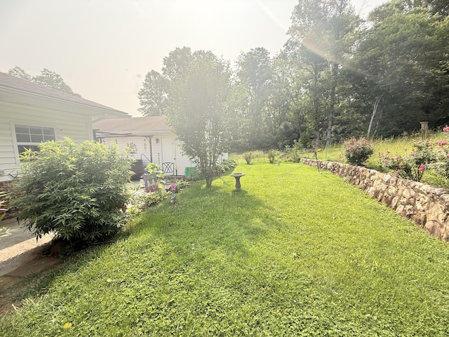 3135 Doe Run Rd, Rocky Mount, VA 24151 - view of grassy yard