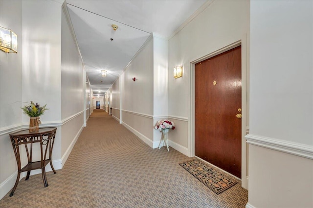 2208 Jefferson St SE Unit 104, Roanoke, VA 24014 - hallway featuring carpet, crown molding, and baseboards