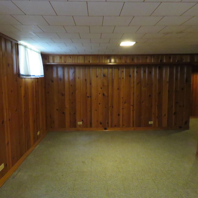 383 Main St, New Castle, VA 24127 - basement with wooden walls
