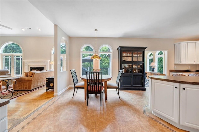 1425 Cravens Creek Ln SW, Roanoke, VA 24018 - dining room featuring healthy amount of natural light, a fireplace, and baseboards