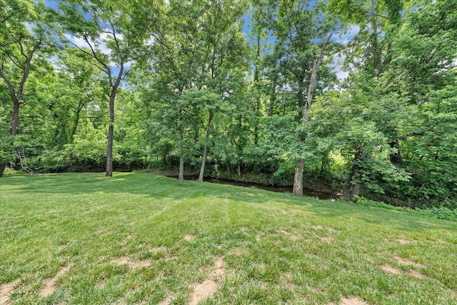 1425 Cravens Creek Ln SW, Roanoke, VA 24018 - view of grassy yard