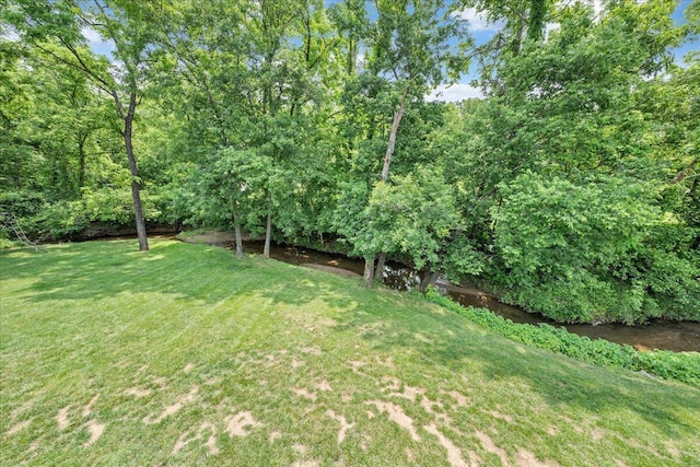 1425 Cravens Creek Ln SW, Roanoke, VA 24018 - view of grassy yard