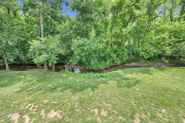 1425 Cravens Creek Ln SW, Roanoke, VA 24018 - view of green lawn