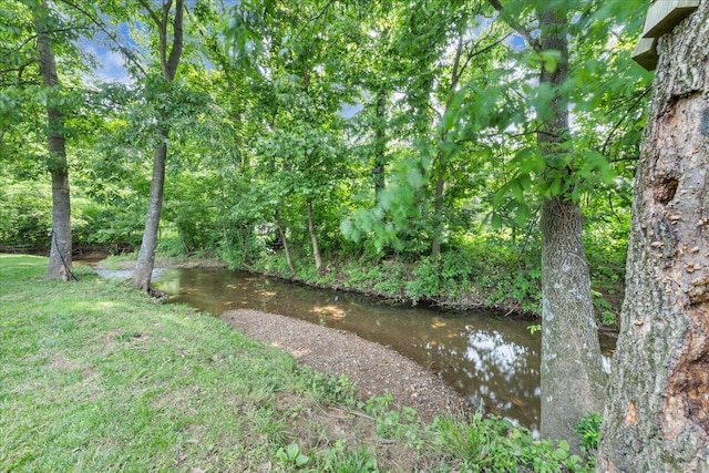 1425 Cravens Creek Ln SW, Roanoke, VA 24018 - view of yard