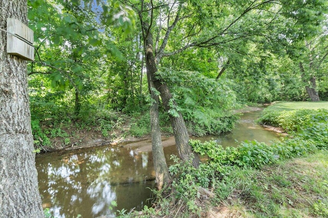 1425 Cravens Creek Ln SW, Roanoke, VA 24018 - view of undeveloped land