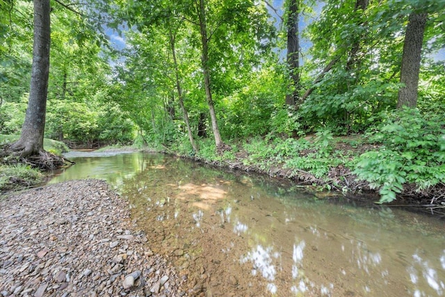 1425 Cravens Creek Ln SW, Roanoke, VA 24018 - water view