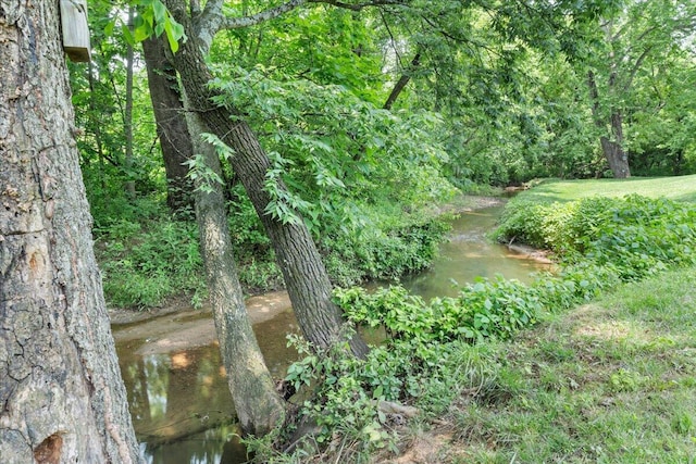 1425 Cravens Creek Ln SW, Roanoke, VA 24018 - view of woods