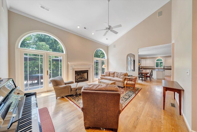1425 Cravens Creek Ln SW, Roanoke, VA 24018 - living area with high vaulted ceiling, light wood-style flooring, a ceiling fan, ornamental molding, and a fireplace