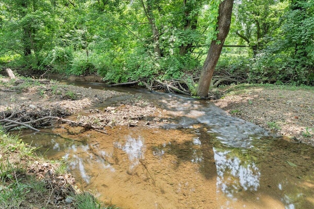 1425 Cravens Creek Ln SW, Roanoke, VA 24018 - view of local wilderness