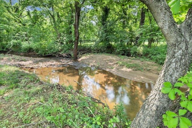 1425 Cravens Creek Ln SW, Roanoke, VA 24018 - view of nature