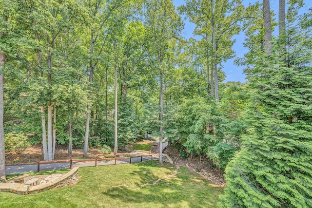 480 Winding Waters Dr, Moneta, VA 24121 - view of grassy yard