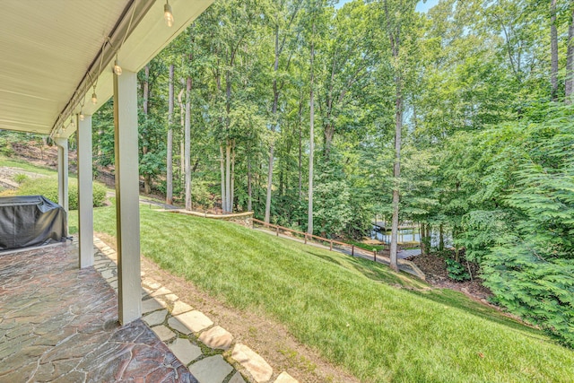 480 Winding Waters Dr, Moneta, VA 24121 - view of green lawn