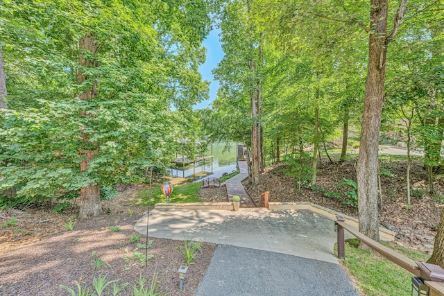 480 Winding Waters Dr, Moneta, VA 24121 - view of yard