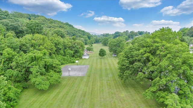 1113 Brandon Ave SW, Roanoke, VA 24015 - aerial overview of property's location with a forest