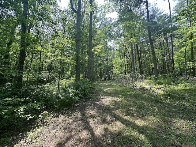 6108 Craig Creek Rd, Eagle Rock, VA 24085