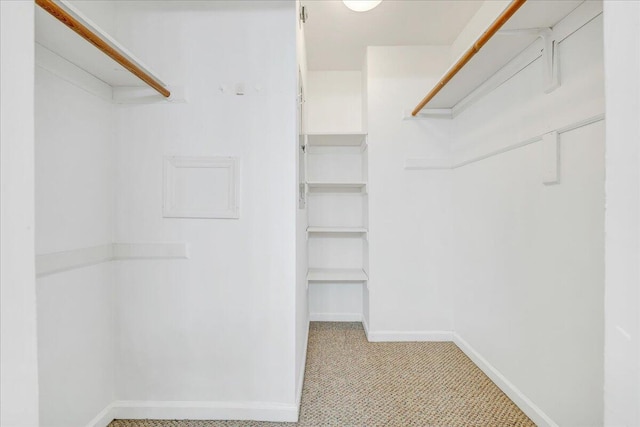 8506 Pine Hurst Cir, Roanoke, VA 24019 - spacious closet with carpet flooring