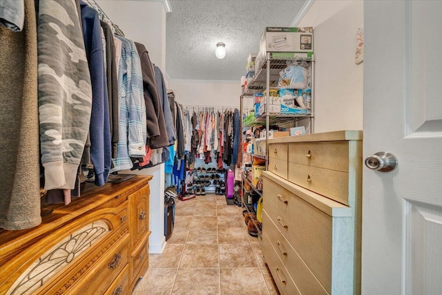 384 White Oak Ln, New Castle, VA 24127 - view of spacious closet