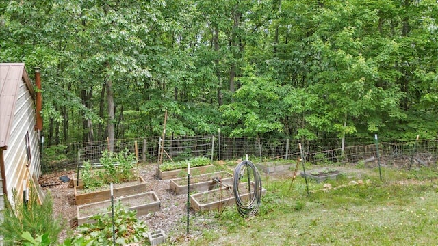 384 White Oak Ln, New Castle, VA 24127 - view of yard featuring a vegetable garden