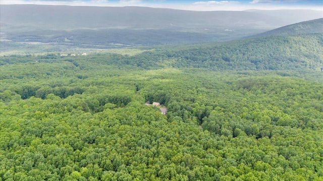 384 White Oak Ln, New Castle, VA 24127 - view of mountain backdrop featuring a heavily wooded area