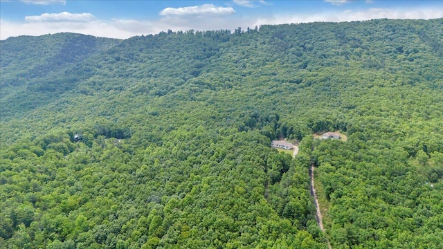 384 White Oak Ln, New Castle, VA 24127 - view of mountain background with a heavily wooded area