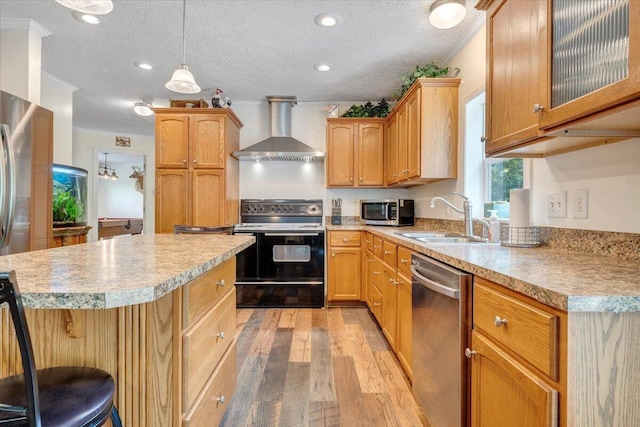 384 White Oak Ln, New Castle, VA 24127 - kitchen featuring wall chimney exhaust hood, stainless steel appliances, a sink, light wood-style flooring, and light countertops