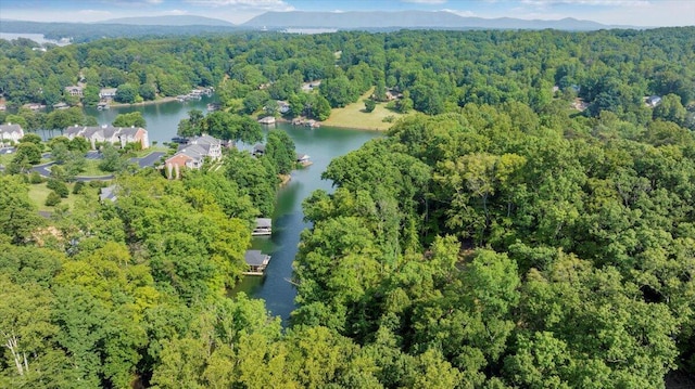 LOT1 Windlass Rd, Moneta, VA 24121
