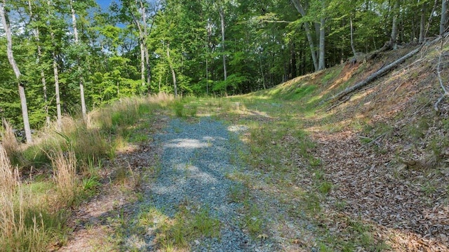 LOT1 Windlass Rd, Moneta, VA 24121
